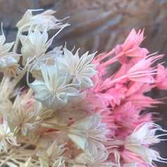 Dried Natural Flowers Branch