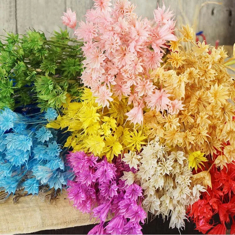 Dried Natural Flowers Branch