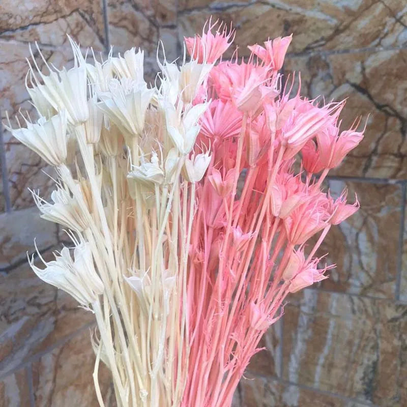 Dried Natural Flowers Branch