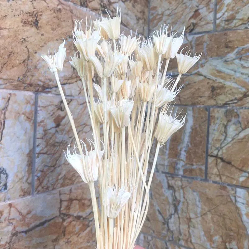 Dried Natural Flowers Branch