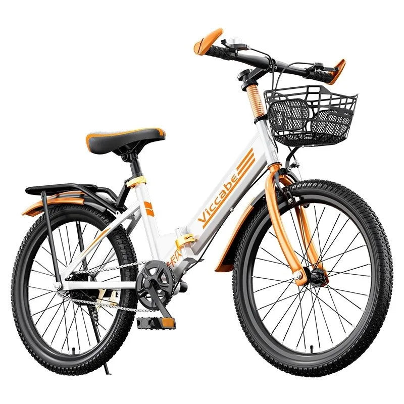 FJ Classic Mountain Folding Bike