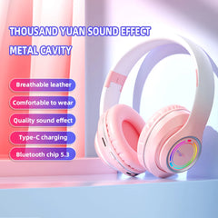 Bluetooth 5.3 Wireless Headphone