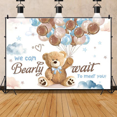 Teddy Bear Baby Shower Backdrop For Photography