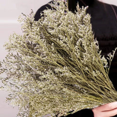 Preserved Natural Limonium Bouquet