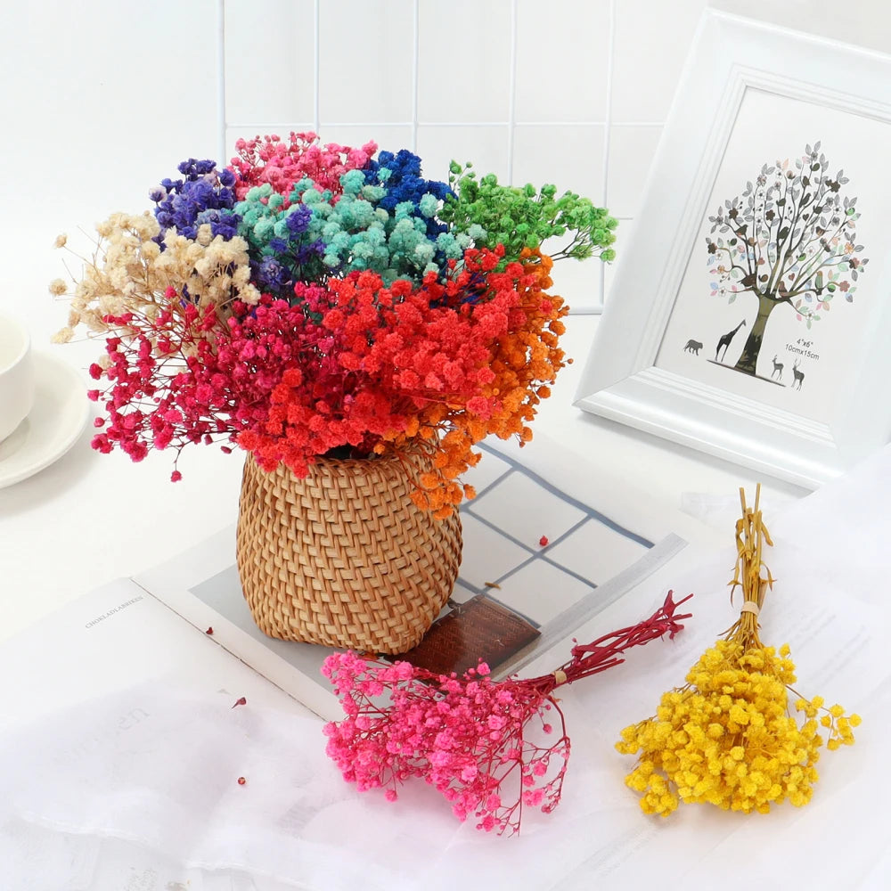 Baby's Breath Fresh Preserved Bouquet