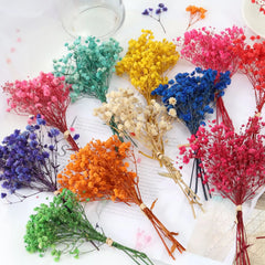 Baby's Breath Fresh Preserved Bouquet