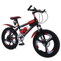 Children's Double Brake Mountain Bike